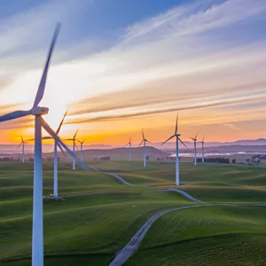 Several wind turbines set in a field at sunset