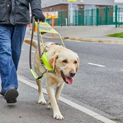 Illustration of Guide Dogs awards hard FM contract to Equans