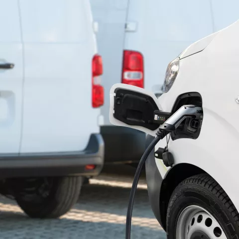 Illustration of The Future is Electric: 5 Reasons Businesses Should Switch Their Fleets To EV